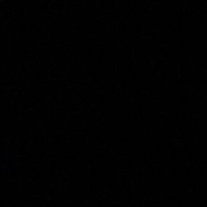 Meet your Posher, Peyton